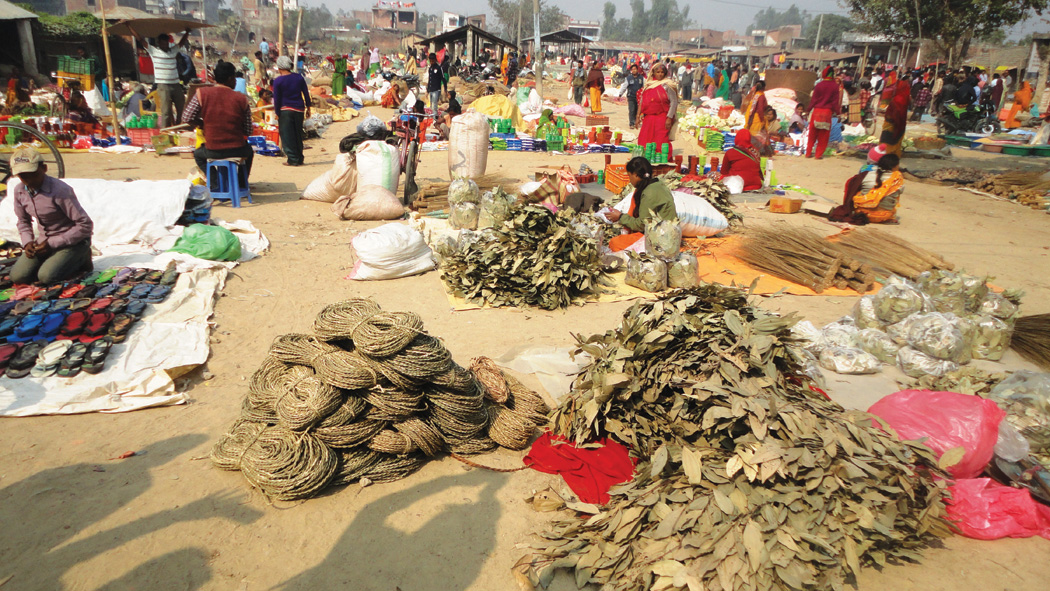 गोलबजारको मन दुख्ने खबर  