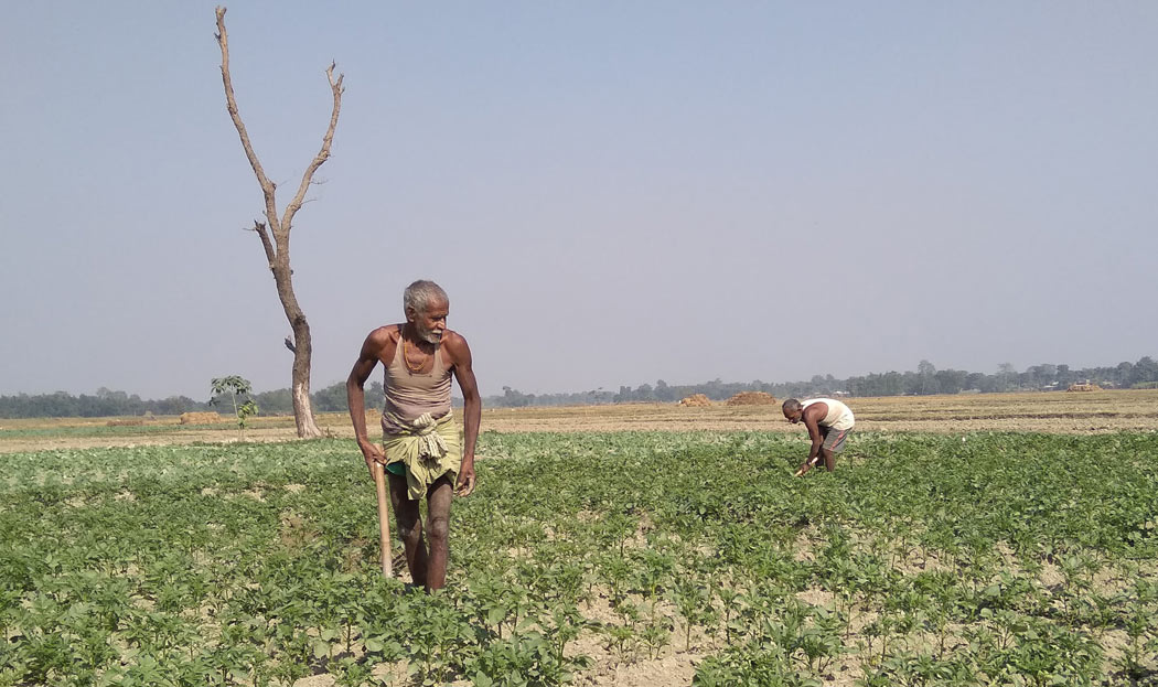 कृषिबाट प्राण धान्‍नै गाह्रो