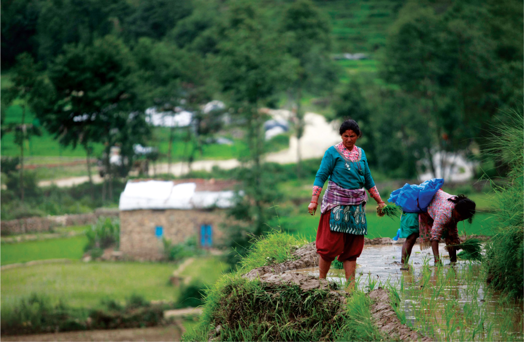 आकाशे पानीले सिंहदरबारमा रौनक 