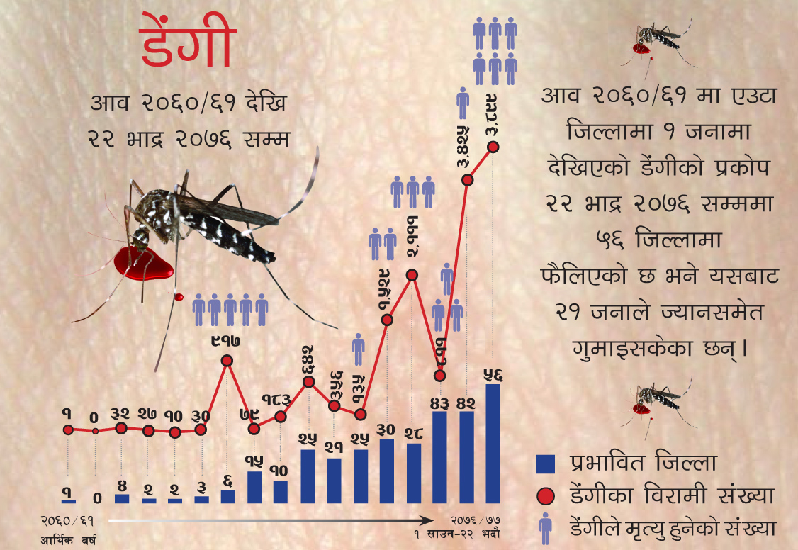 काठमाडौंमा डेंगी प्रकोपः कीटजन्यरोग विशेषज्ञ नै जगेडामा!
