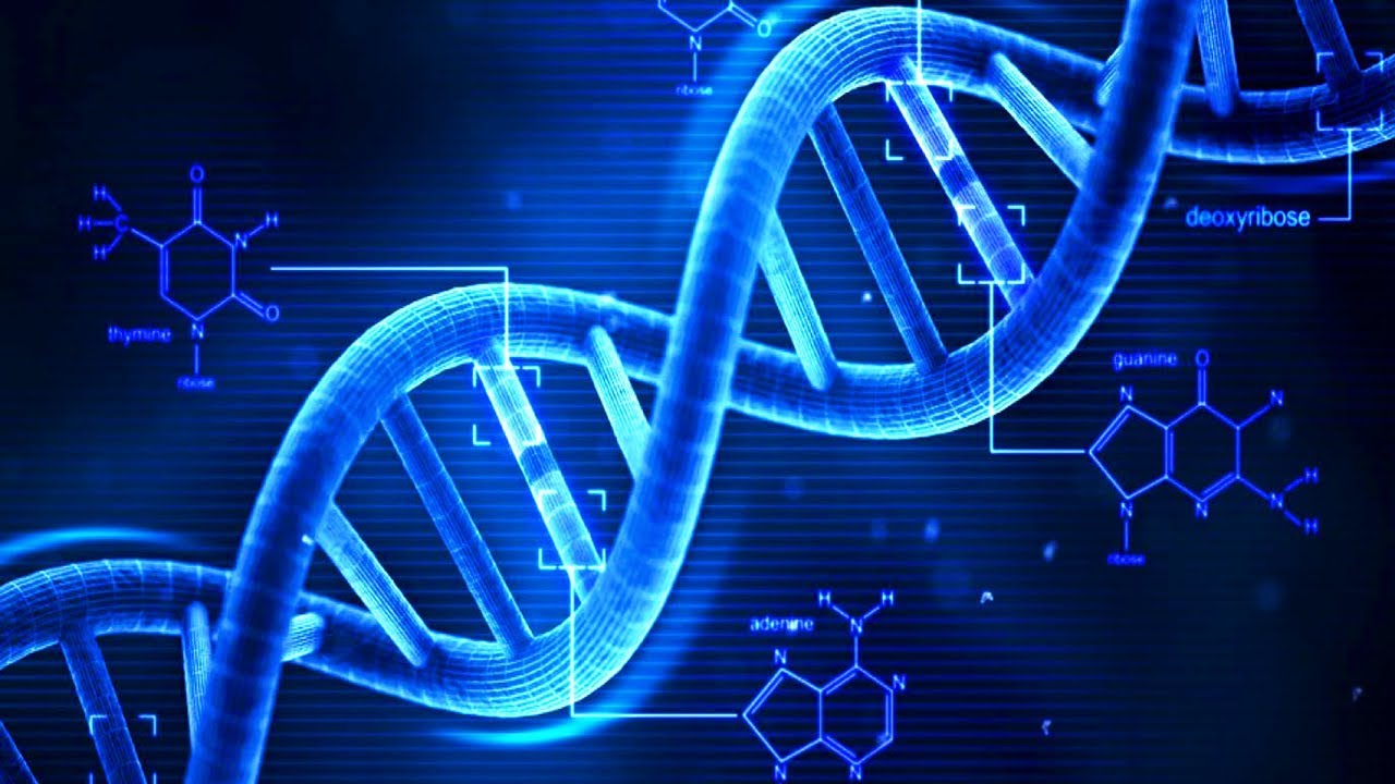 डीएनए परीक्षणमा नयाँ नजीर