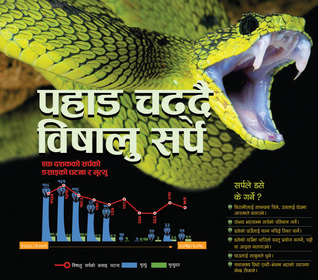 पहाड चढ्दै विषालु सर्प