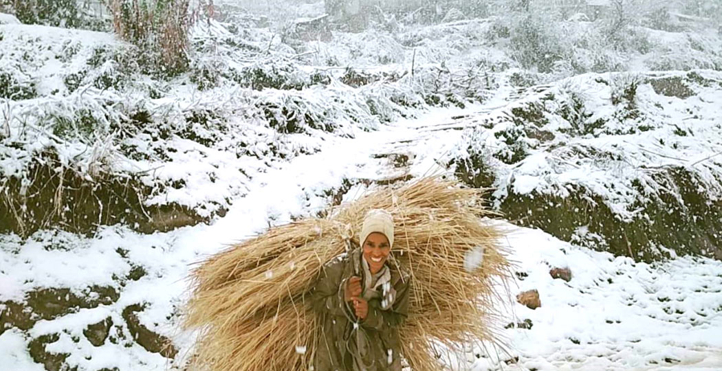 १५ वर्षयताकै उच्च हिमपात- हिमाली भेकमा सहकालको संकेत