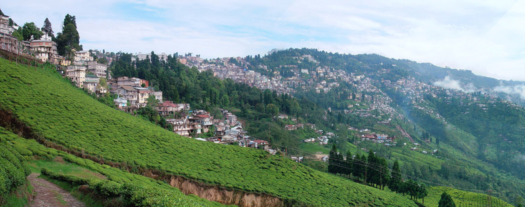 स्वाभिमानको लडाईंले एक्लिएको दार्जीलिङ