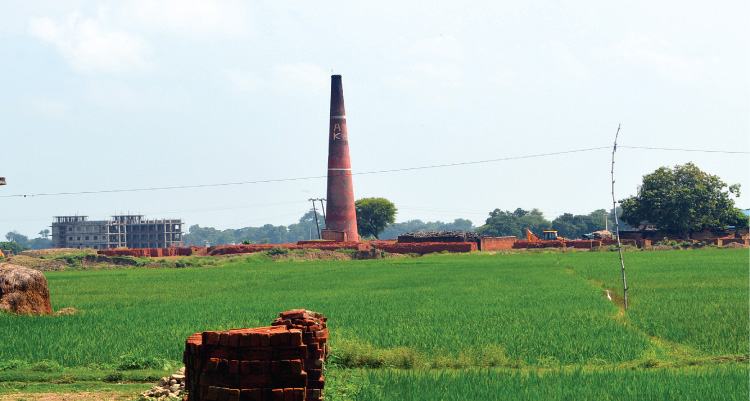 प्रदूषणले चौपट हुँदै लुम्बिनी 