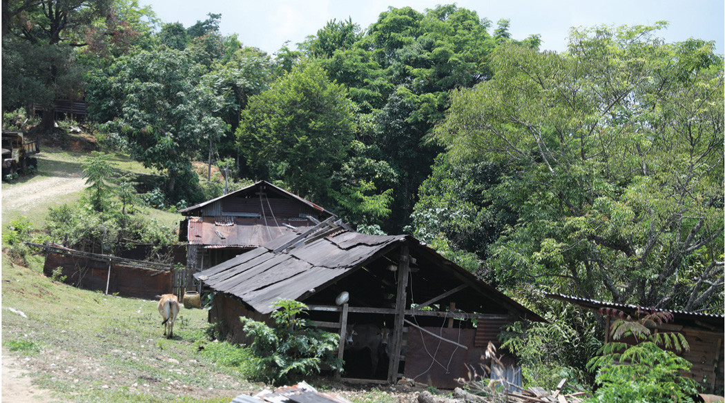 थाइल्याण्डमा नेपाली बस्ती 