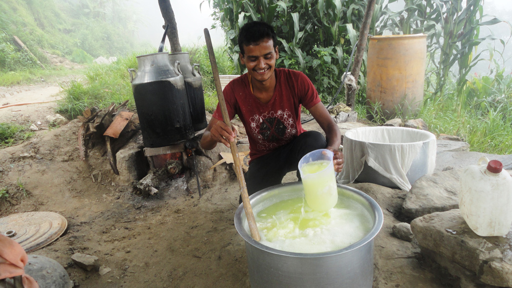 केदारको पनिर पौरख