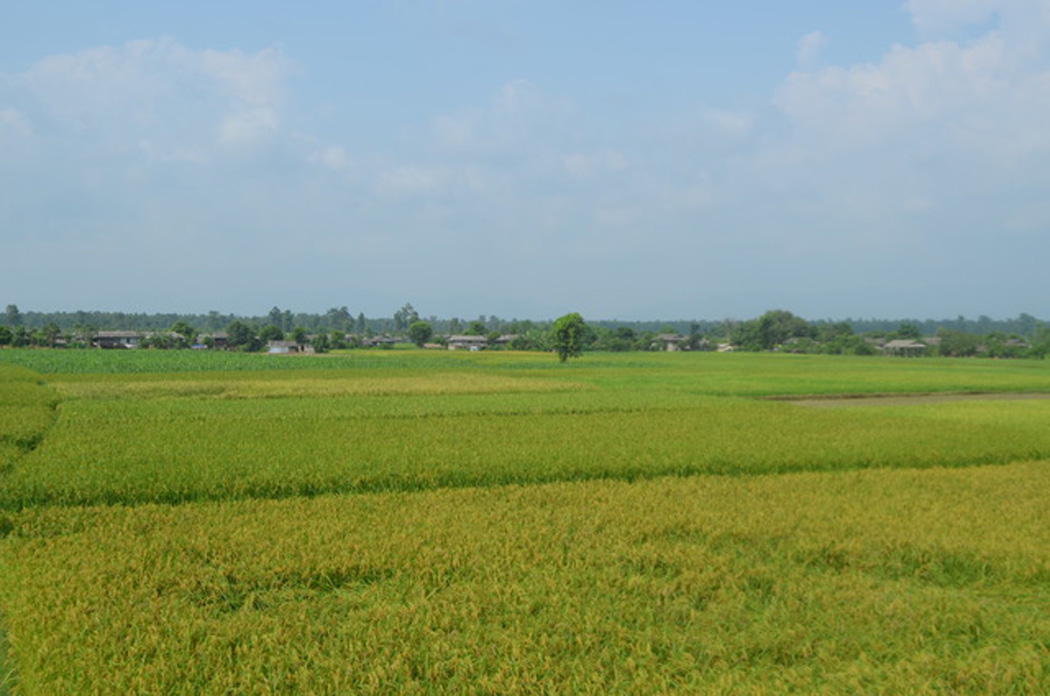 राष्ट्रिय आत्मविश्वास जोगाऊ