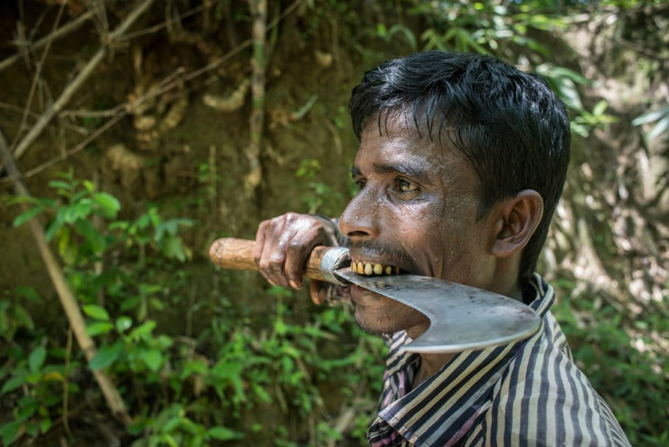 फिल्म साउथएशियामा ‘ब्याम्बो स्टोरिज्’ उत्कृष्ट