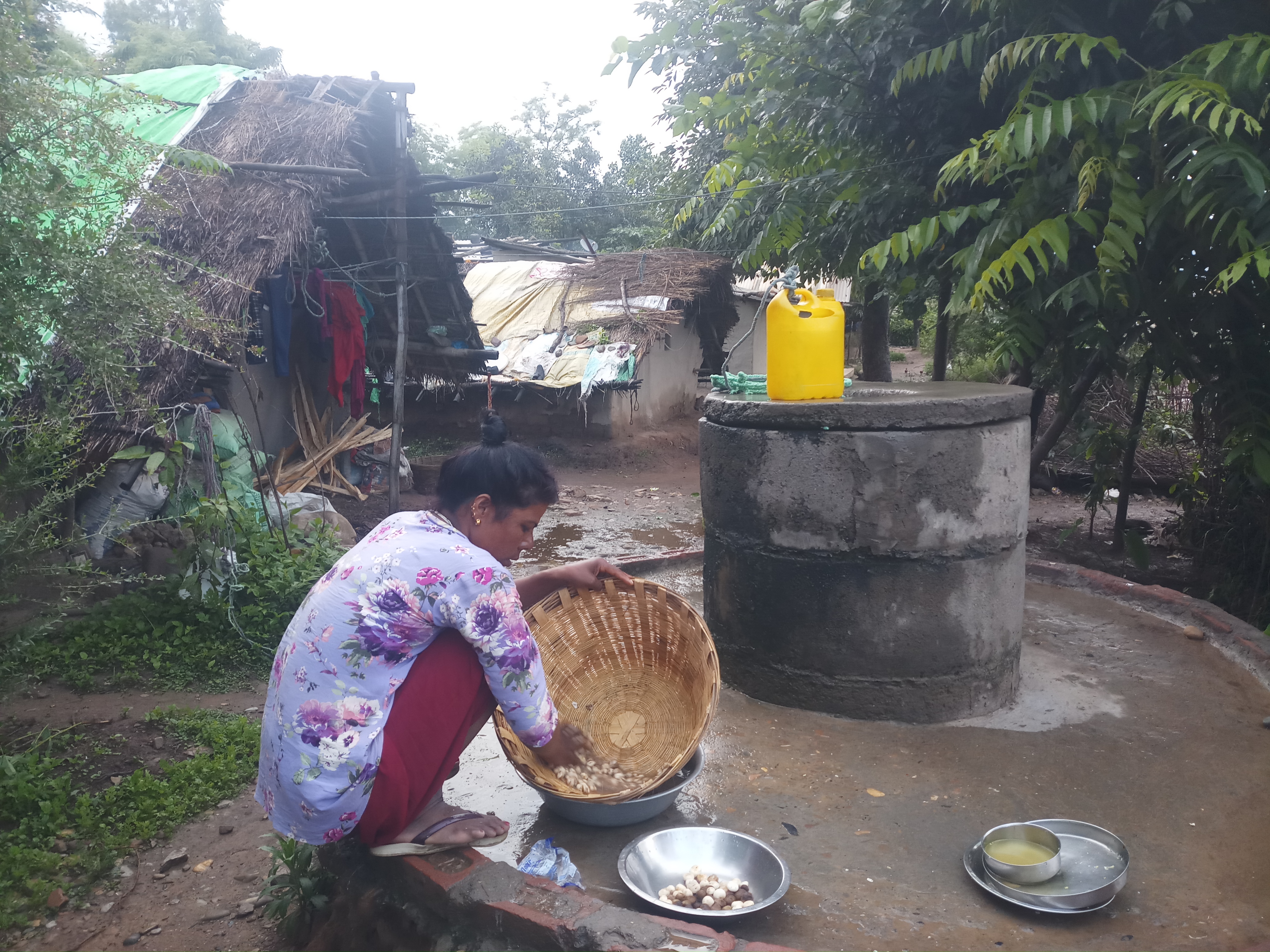 कमैया मुक्त भए, मुक्ति पाएनन्