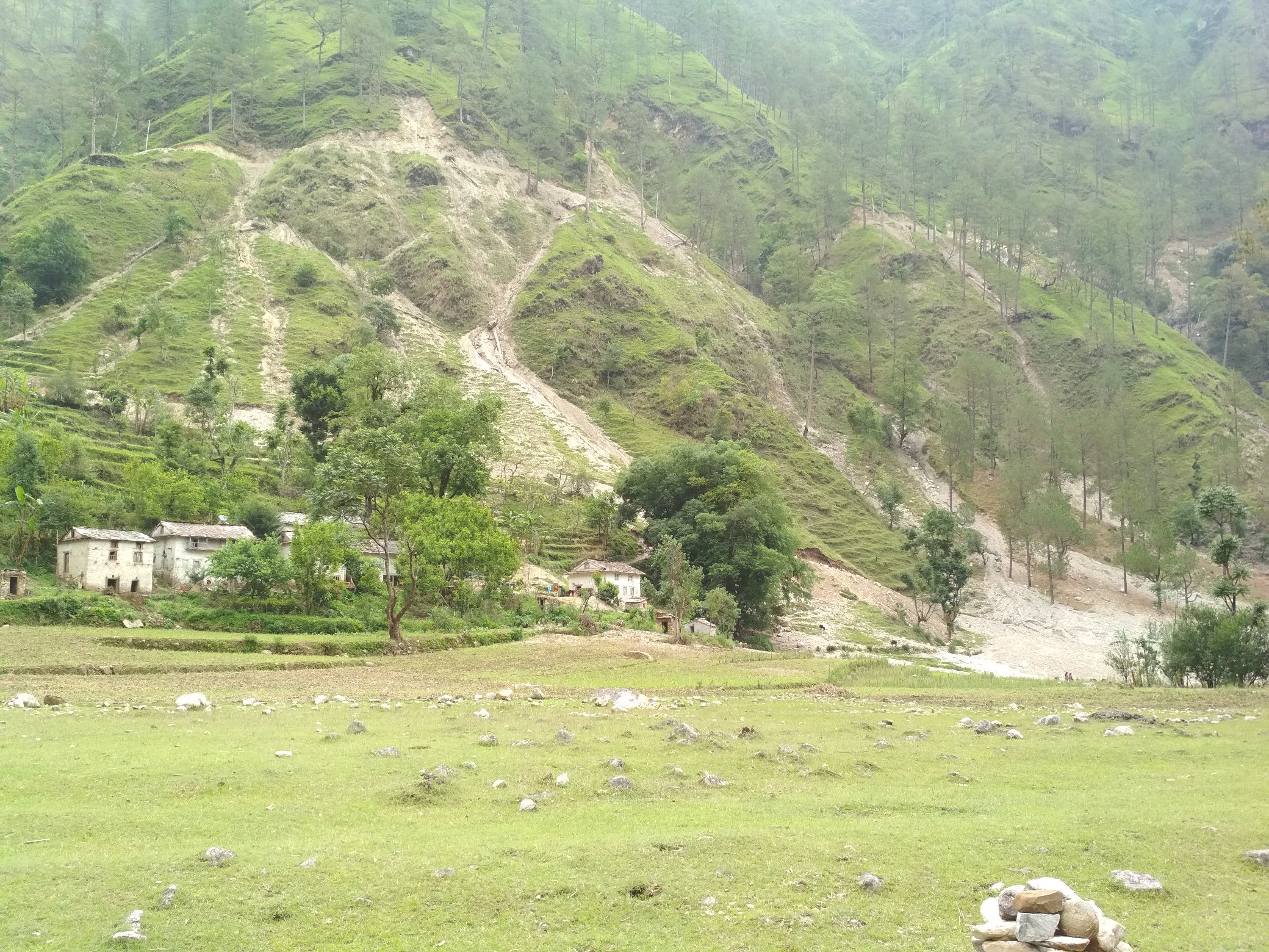 bajura_5.jpg