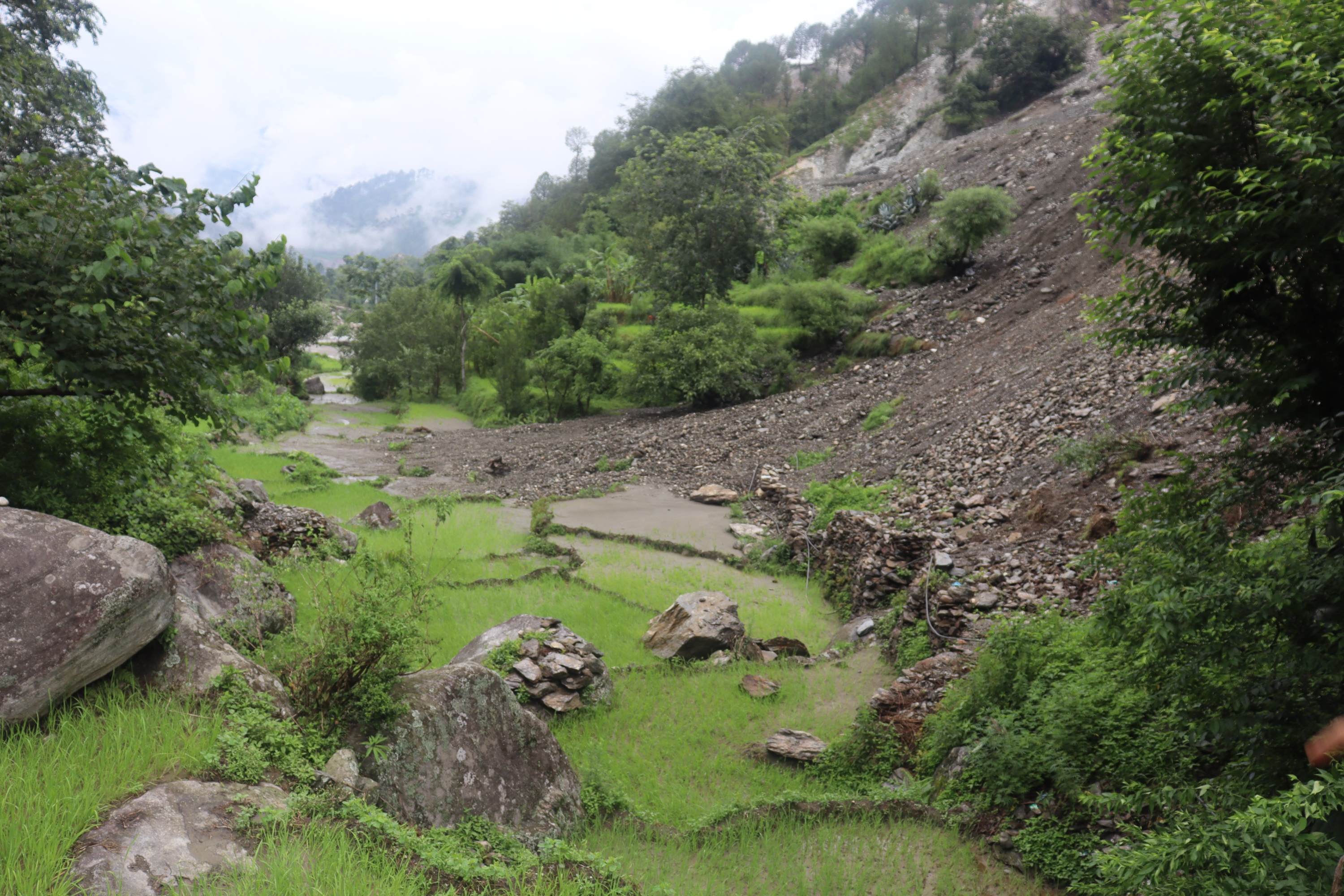 bajura_6.JPG