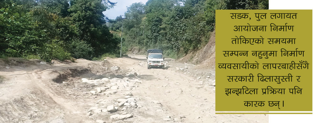 सरकारी कमजोरी निर्माण व्यवसायीलाई बहाना