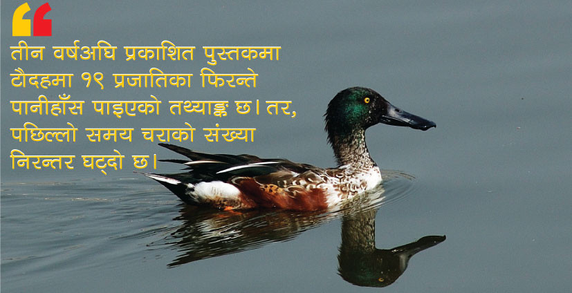 शक्ति सञ्चय गर्न टौदह