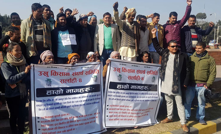 उखुको बक्यौता रकम माग गर्दै सर्लाहीका किसानकाे माइतीघर मण्डलामा धर्ना