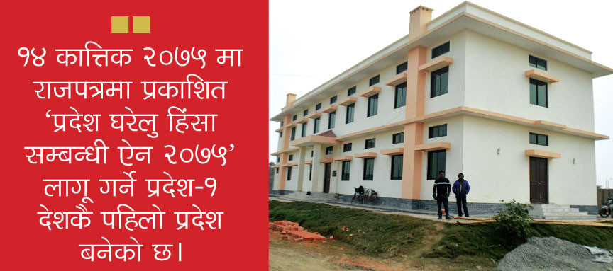 प्रदेश १ मा घरेलु हिंसाविरुद्ध उदाहरणीय ऐन, कार्यान्वयनको चुनौती