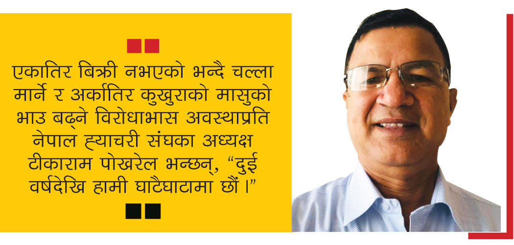 "चल्ला मार्न बाध्य छौं", टीकाराम पोखरेल– अध्यक्ष, नेपाल ह्याचरी संघ