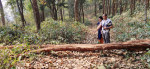 सामुदायिक वनमा करको बोझ : संरक्षणबाट उपभोक्ता पछाडि हट्ने जोखिम