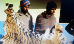 जेलबाट छुट्दैछन् 'बाघ तस्कर' भारतीय बाबरिया, बाघका लागि फेरि चुनौती बन्ने जोखिम 