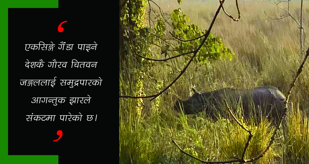 वनमारा खान्छ गैडा (भिडियाेसहित)