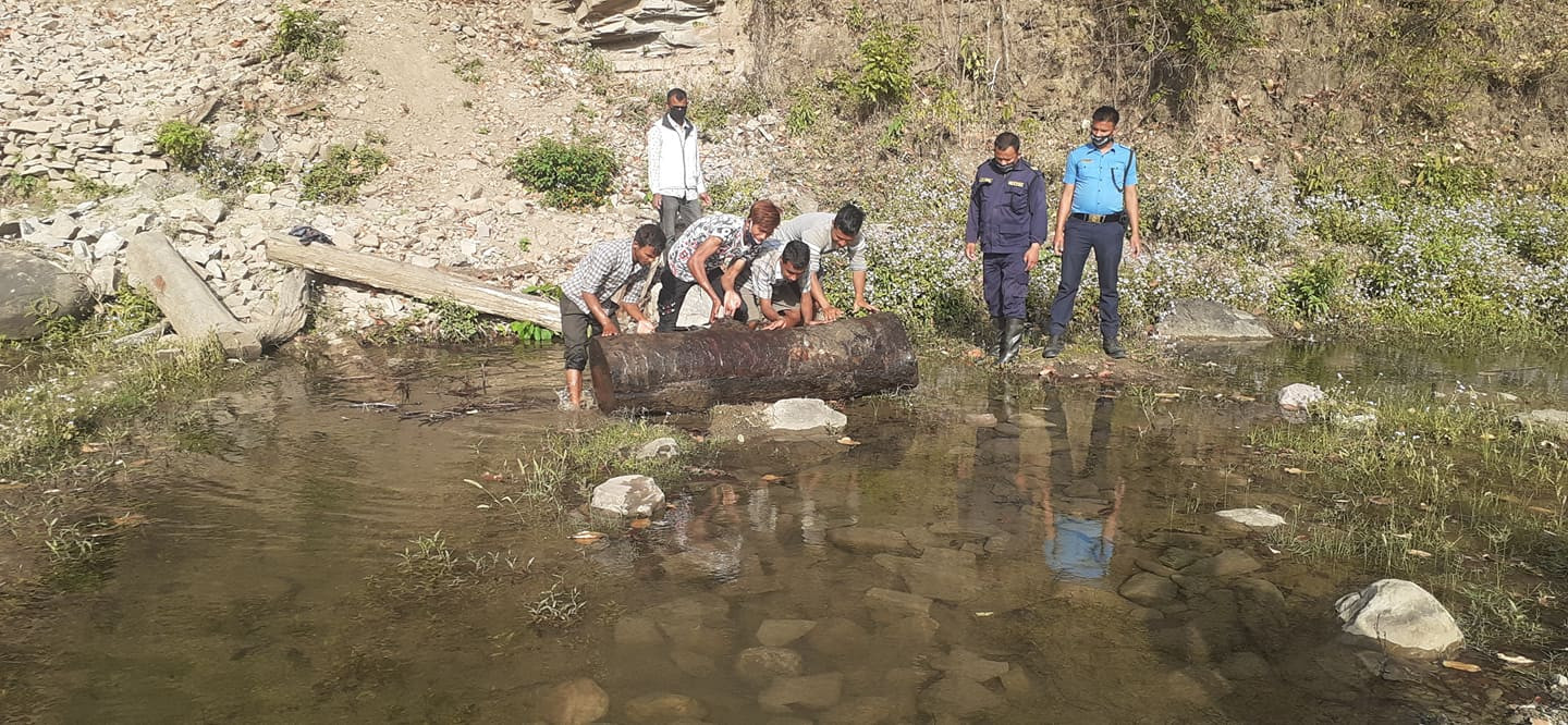 बन्दाबन्दीमा जंगलः सामुदायिक भन्दा राष्ट्रिय र साझेदारी वनमा तस्करी धेरै