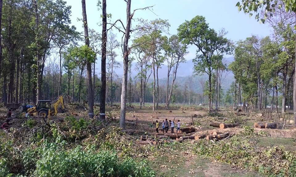 वनमन्त्रीज्यू, वैज्ञानिक व्यवस्थापनको नाममा वन नाशिन रोकौं