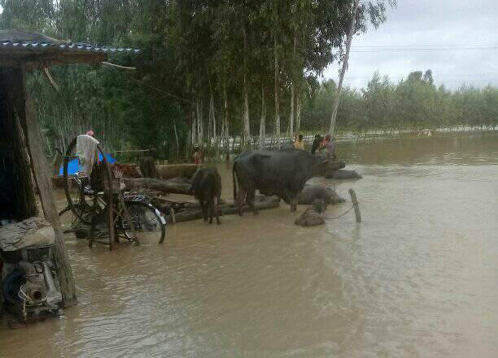 बाँकेमा रोहिणी र डुडुवा खोलाको कटानले बस्ती जोखिममा