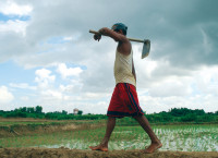 कृषिमा विदेशी लगानीः अवसर कि जोखिम?