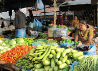 मूल्यवृद्धि दर फेरि बढ्न थाल्यो, तरकारी एकतिहाइले महँगो