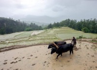 कृषिमा लगानी दशक घोषणा