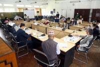 संसदीय सुनुवाइबाट तीन राजदूतको नाम सर्वसम्मत अनुमोदन