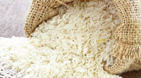 के नेपालीहरूले भात धेरै खान थालेका हुन्?