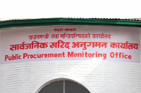 पप्पु कन्स्ट्रक्सन सहित २८ निर्माण व्यवसायी एवं आपूर्तिकर्ता कालोसूचीमा