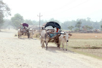 गर्मी बढेपछि दाङका विद्यालय एक साता बन्द