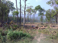 वन मुद्दा धमाधम फिर्ता गर्दै अदालत, क्षेत्राधिकारको अन्योल कायम