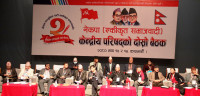 प्रतिगमनकारीहरू सामाजिक सद्‌भाव खलबल्याउन खोज्दै छन् : माधव नेपाल