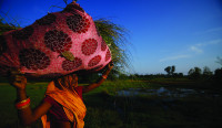 मधेशमा ४३ प्रतिशत किसान परिवारलाई पुग्दैन आफ्नै उत्पादन