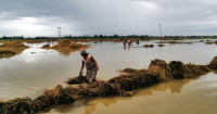 कात्तिक लाग्दा पनि किन परिरहेको छ झमझम पानी?