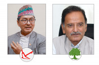 झापा-३ मा राप्रपाका राजेन्द्र लिङ्देन अगाडि