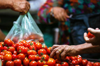 नेपालबाट ३० टन गोलभेंडा भारत निर्यात