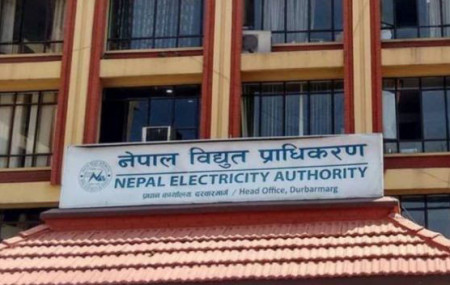 विद्युत् प्राधिकरणले प्रतिकित्ता ३०० का दरले आईपीओ निष्कासन गर्ने