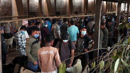 कोरोना संक्रमणको परवाह नगरी थापाथलीमा खसीबोका किन्नेको भीड