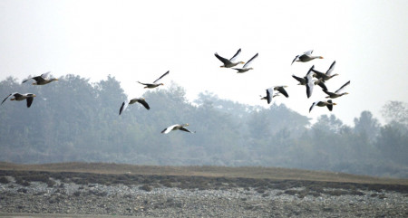 विश्वका आठमध्ये एक चरा खतरामा