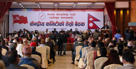 स्थानीय चुनाव हाम्रो पार्टी जीवनको महत्त्वपूर्ण परिघटना हो: माधव नेपाल