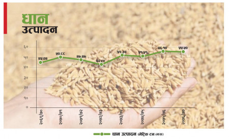 वर्षेनि आयात हुन्छ रु.३३ अर्बको चामल, सम्भव छ त माग अनुसारको उत्पादन ?