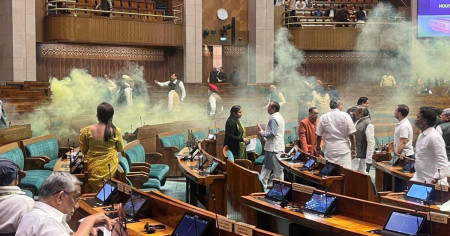 भारतीय संसद् छिरेका युवाले धूवाँ छोडे