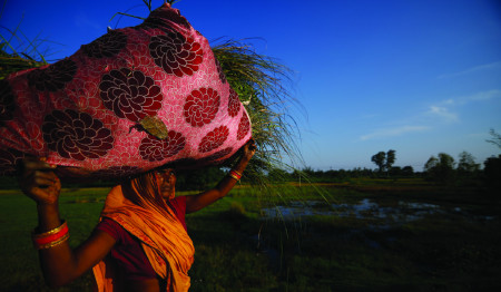 प्रकृति दोहन: महिला झनै मारमा