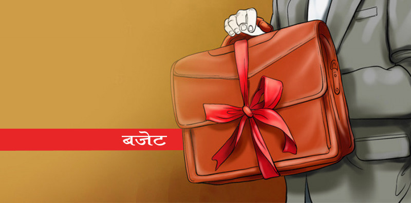 यी हुन् बजेटमा पर्नैपर्ने प्राथमिकताका क्षेत्र