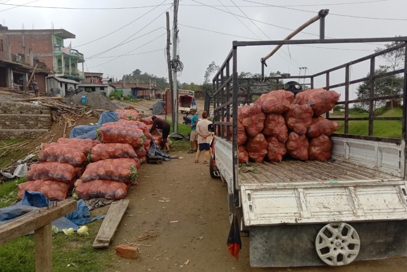 धनकुटालाई धनी बनाउने १० कृषि उत्पादन