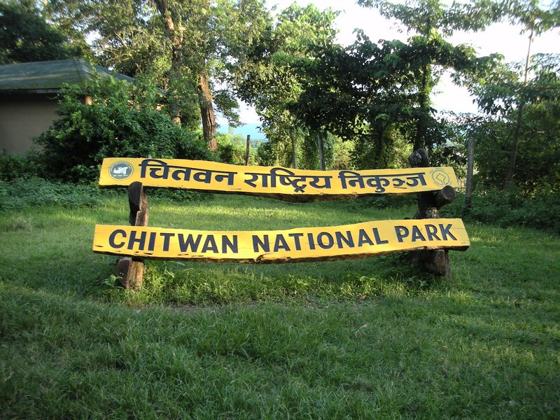 गैंडाको खाग खरीदबिक्रीमा संलग्न ६ जना पक्राउ